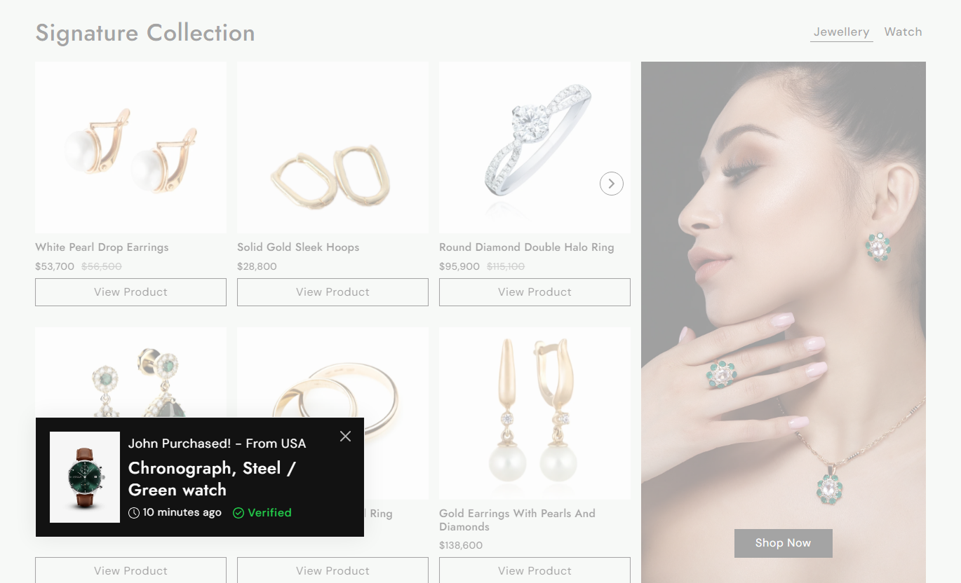 Sales Notification Desktop Preview 1