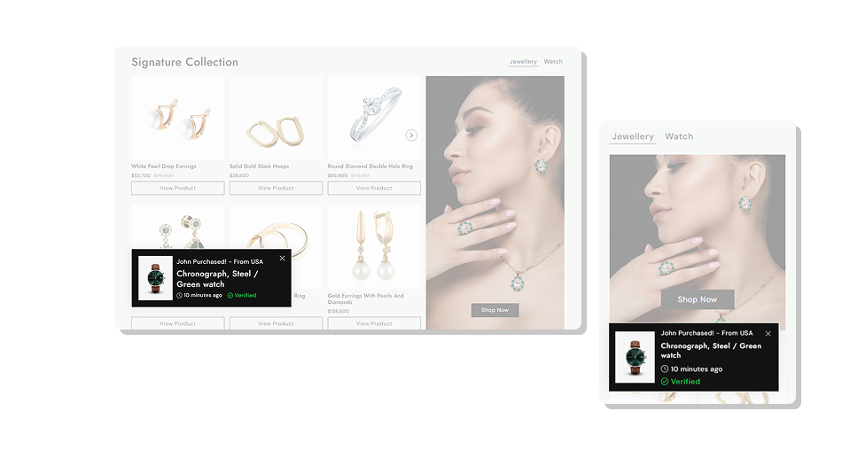 Sales Notification Section
