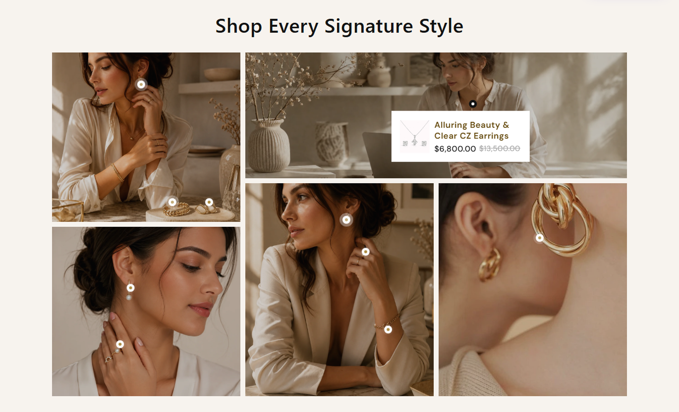 Shop the Look section preview 1
